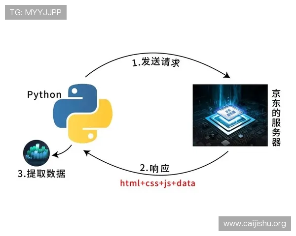 不同扑克牌赌博玩法的规则特点与应对策略全面指南
